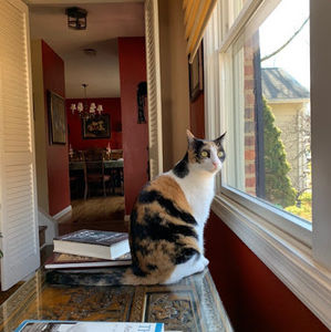 Meet your Posher, Adeline